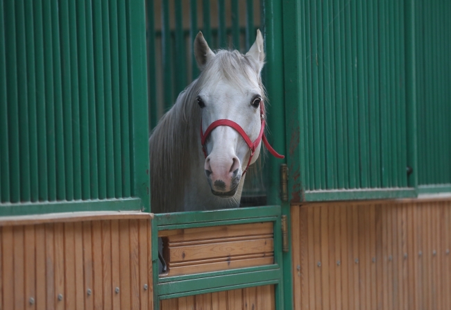 Pistlerin "Turbo"su yılda 2,7 milyon lira kazandıracak